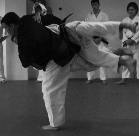Nihon Tai - Jitsu Adultos